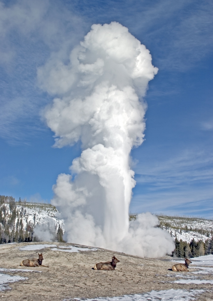 5 Reasons To Visit Cody Yellowstone In 2024 Cody Yellowstone   Yellowstone National Park 724x1024 