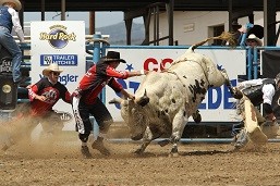 Rider facing a charging bull