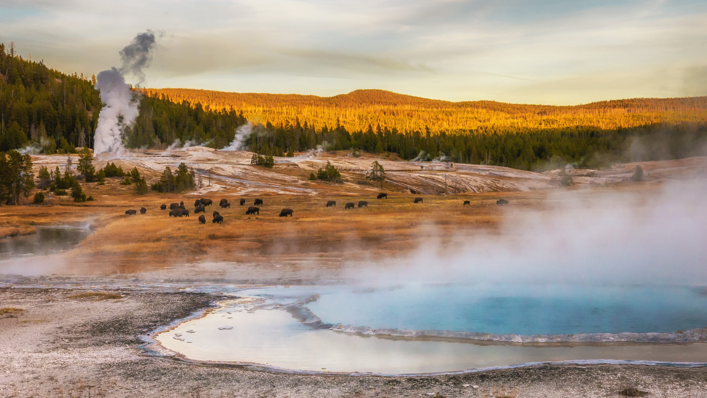 Everything You Need to Know About Yellowstone’s East Gate Opening for the Season