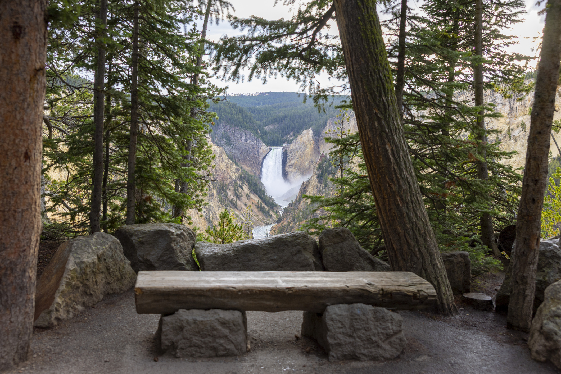 A spectacular and dramatic view of the falls in the Grand Canyon of the Yellowstone.