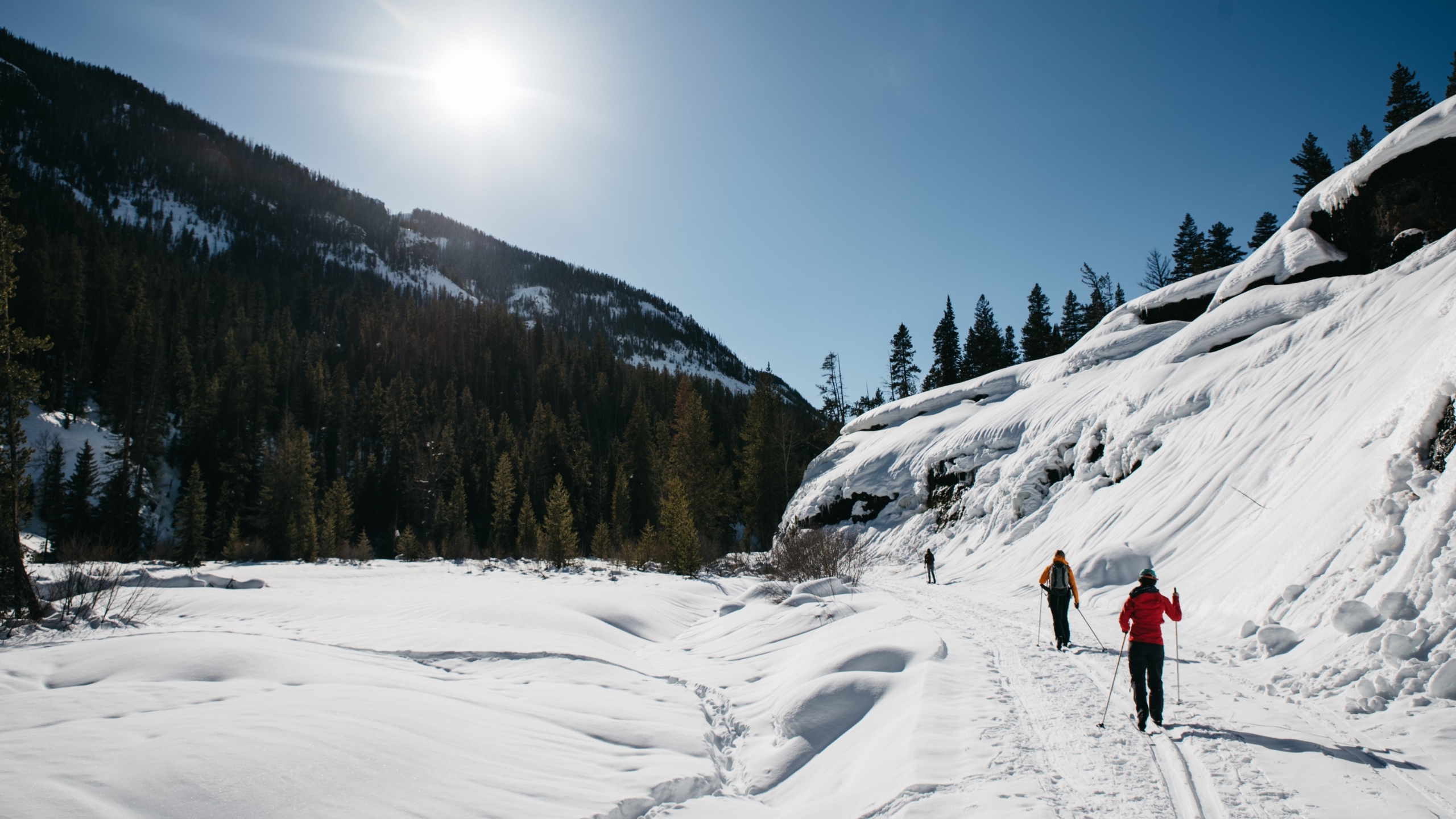 a group of cross country skiers skiing on a trail