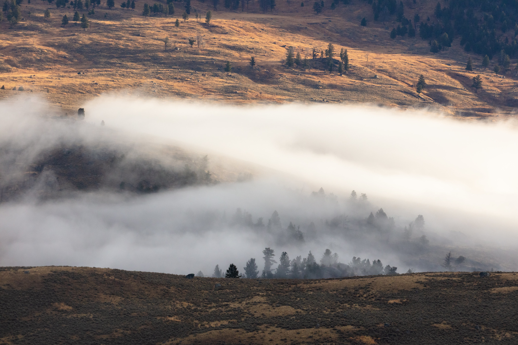 Fog over a little valley in the mountains