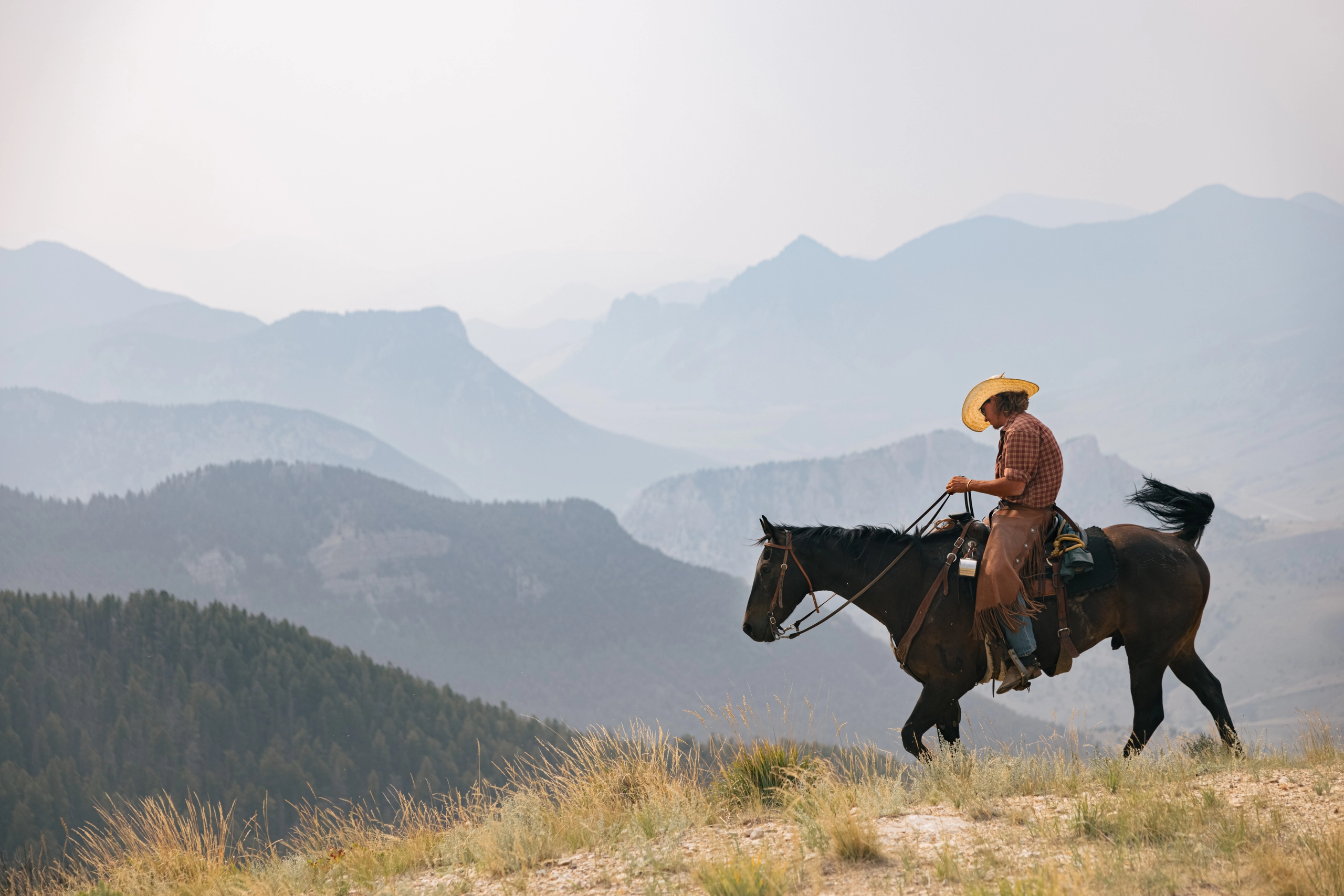 A cowboy on a horse in the mountains