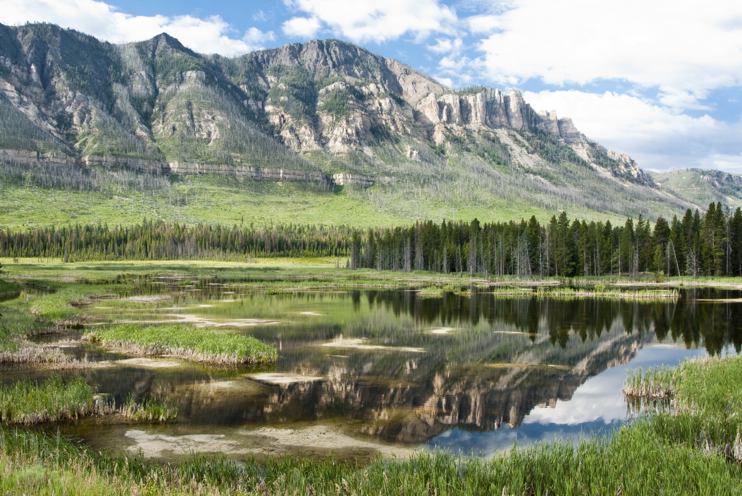 View from Meeteetse RV Park