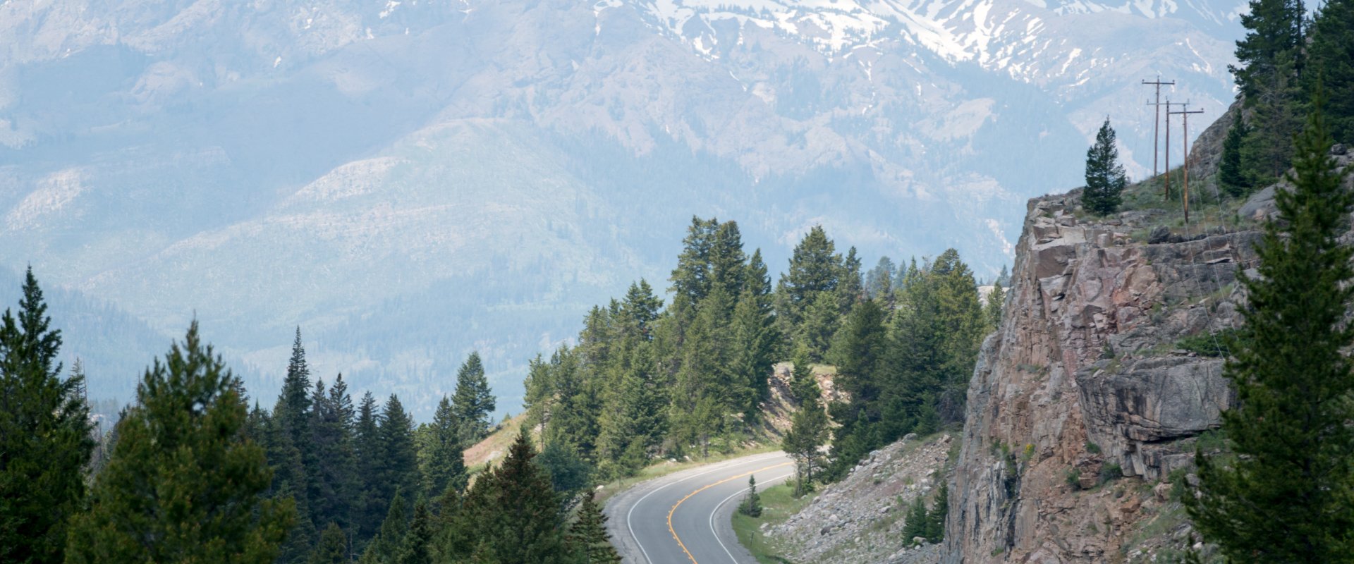 Mountain goats roaming the mountains