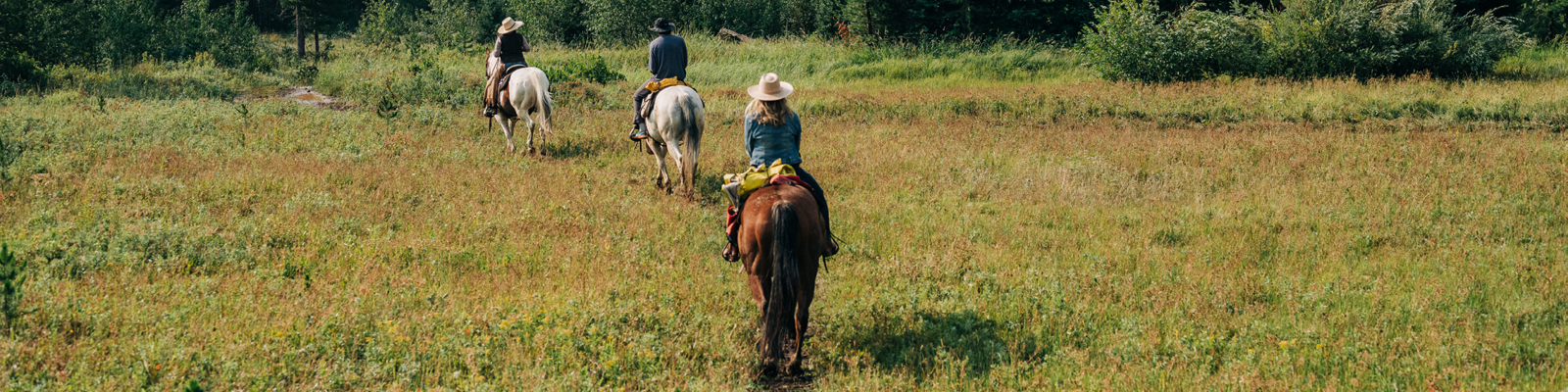 Three people riding horses