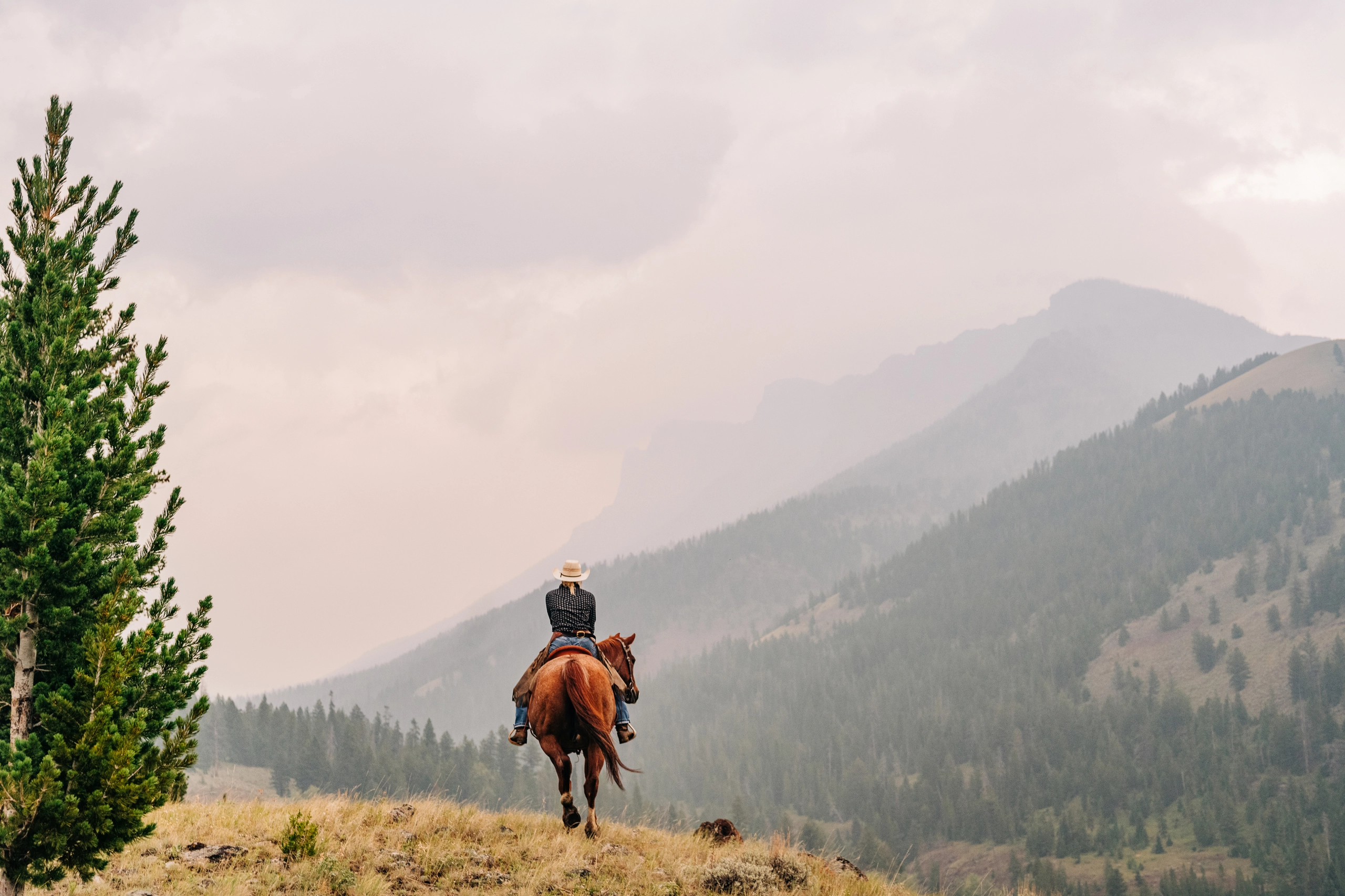 View of a man riding a horse in the mountains