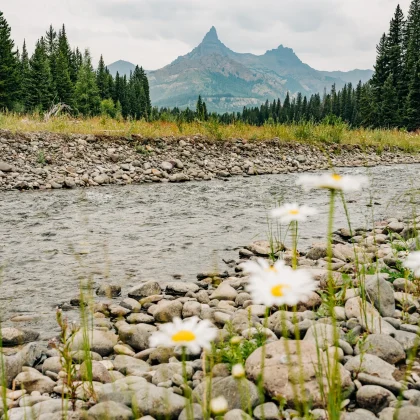 A river with mountains in the background