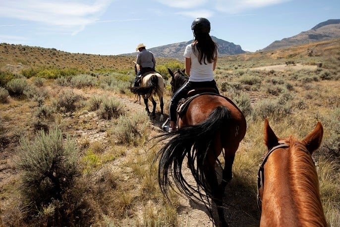 2 people riding horses on a path