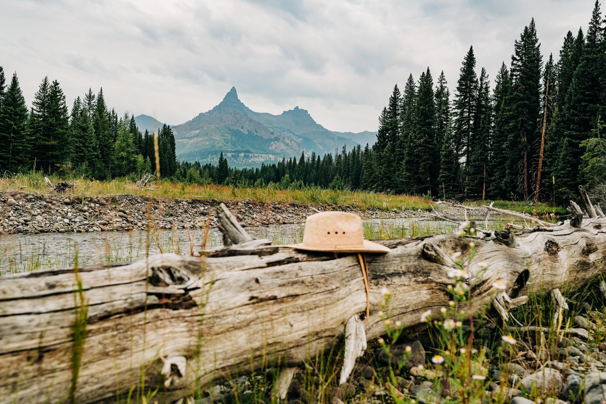 A hat resting on a piece of drift wood.