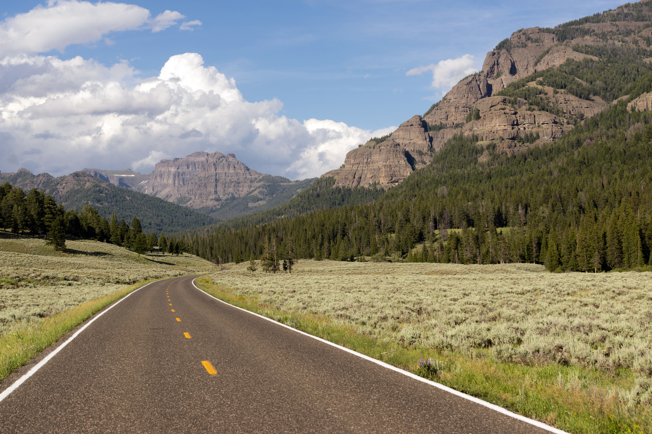 Winding road leads into the mountains of Yellowstone