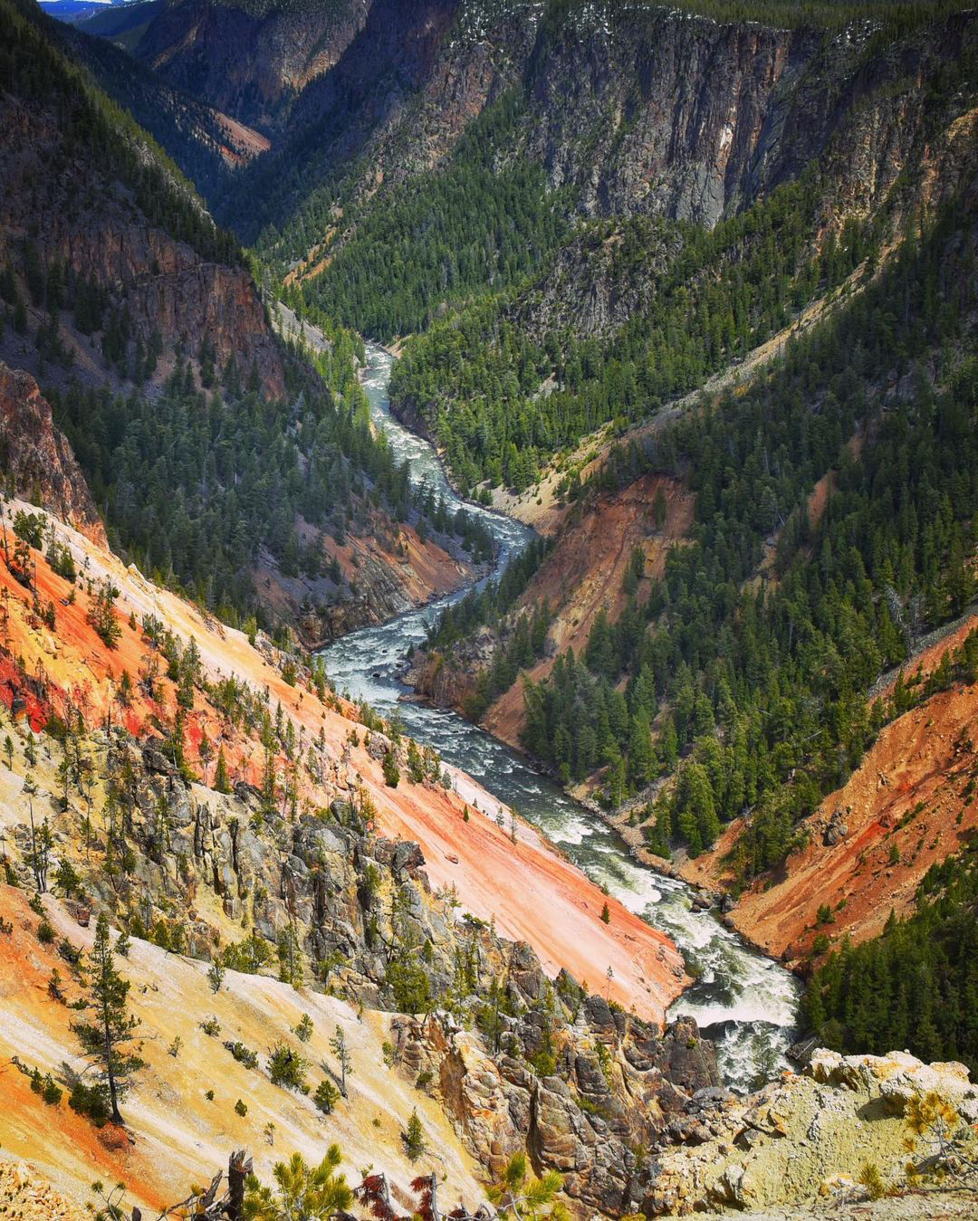 A picturesque scene of the Grand Canyon of Yellowstone, highlighting its majestic cliffs and vibrant landscape