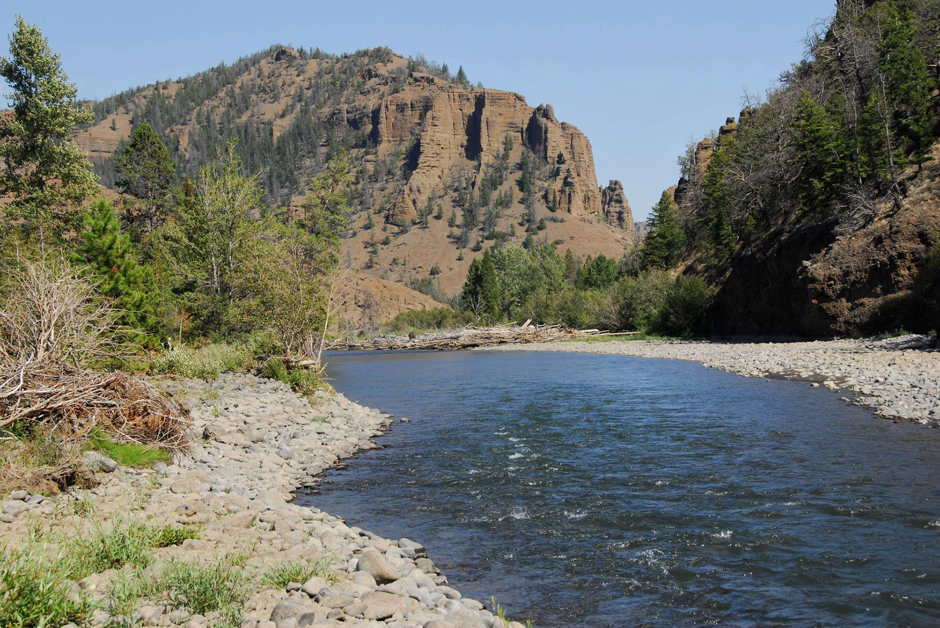 The North Fork of the Shoshone in Cody Yellowstone