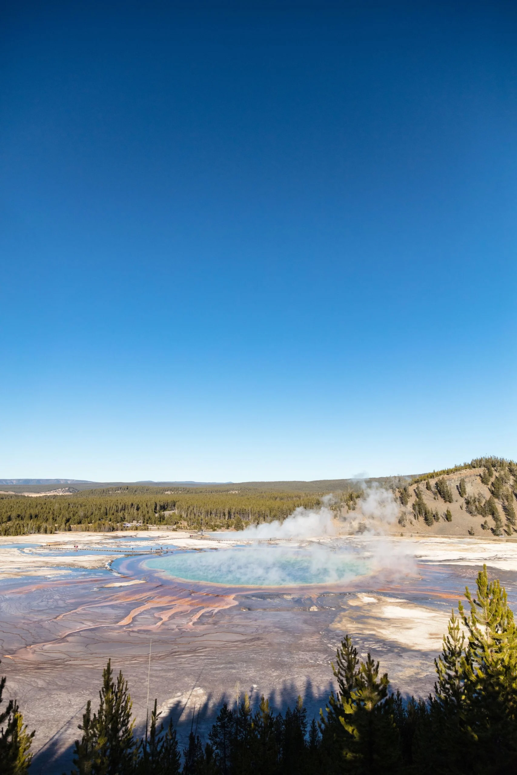 A stunning view of Yellowstone National Park in Wyoming, showcasing its vibrant landscapes and natural beauty