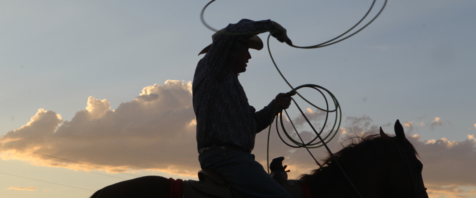 A cowboy silhouette with a lasso