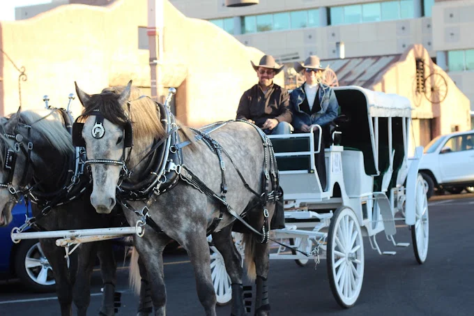 Two people in a carriage being pulled by two large horses