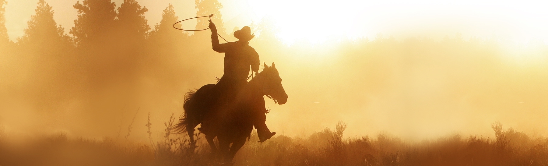 Am man on a horse during sunset wth a lasso