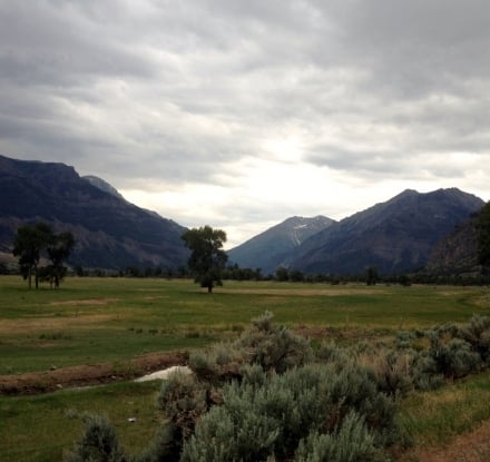 Green grass and a few large trees in a trimmed field with the mountains in the background.