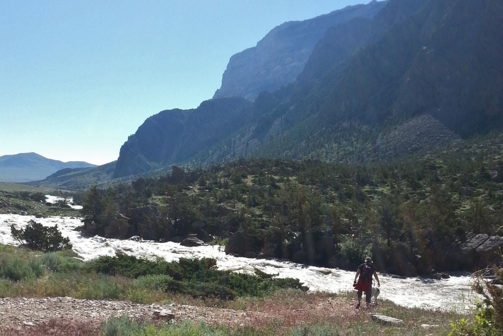 A man and dog on a hike in the mountains