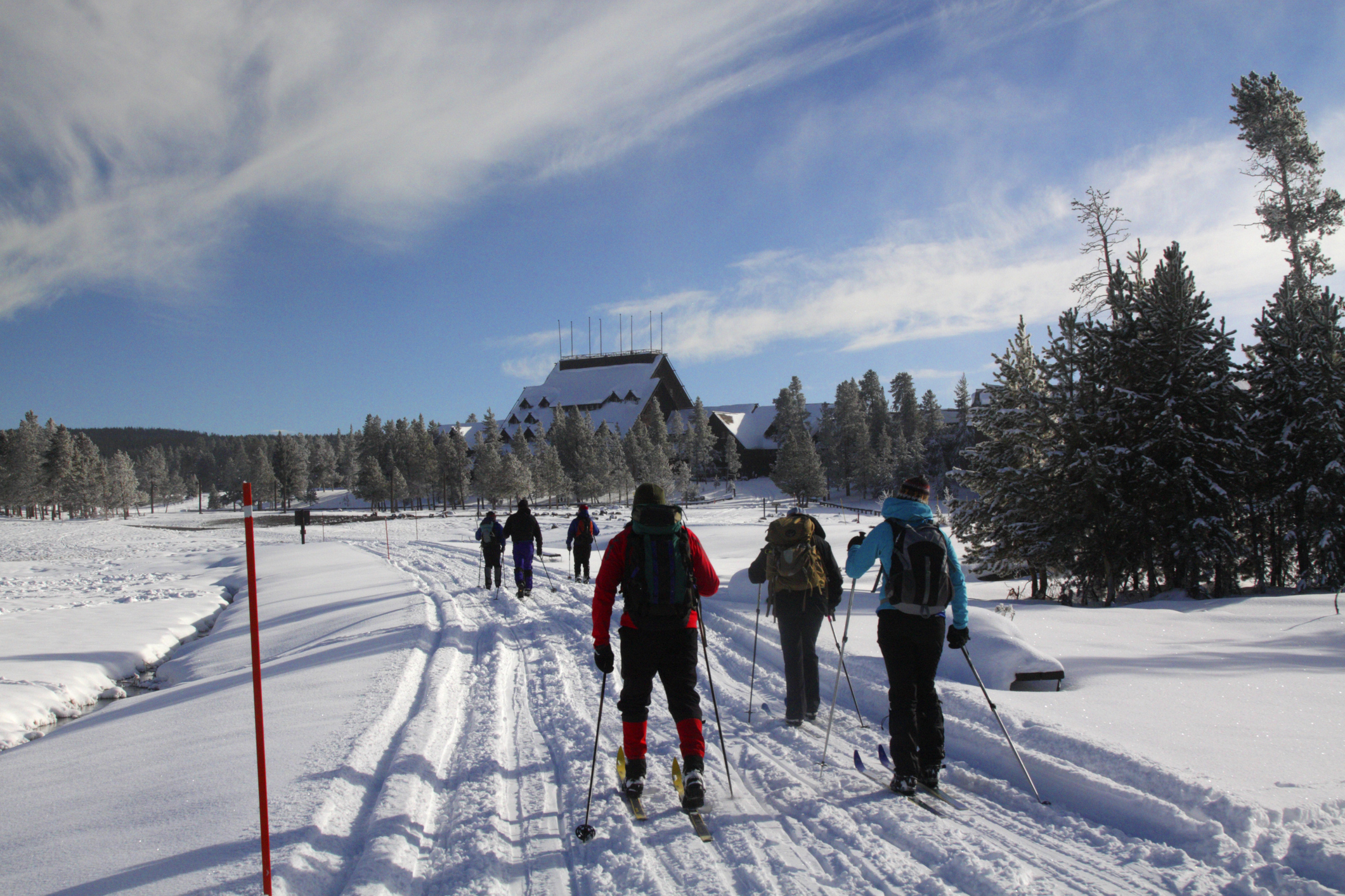 A group of people skiing