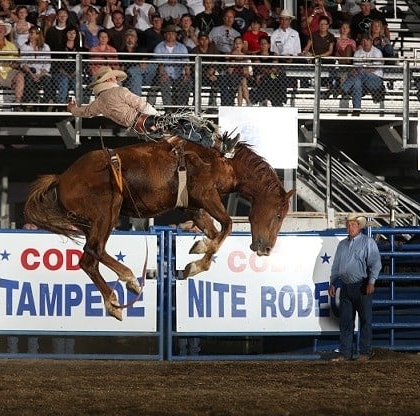 man on horse at the rodeo