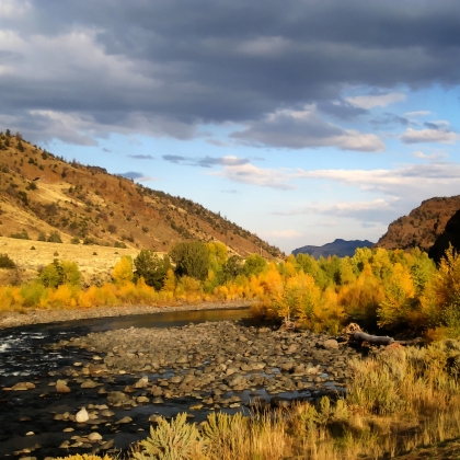 North Fork Shoshone river in the fall