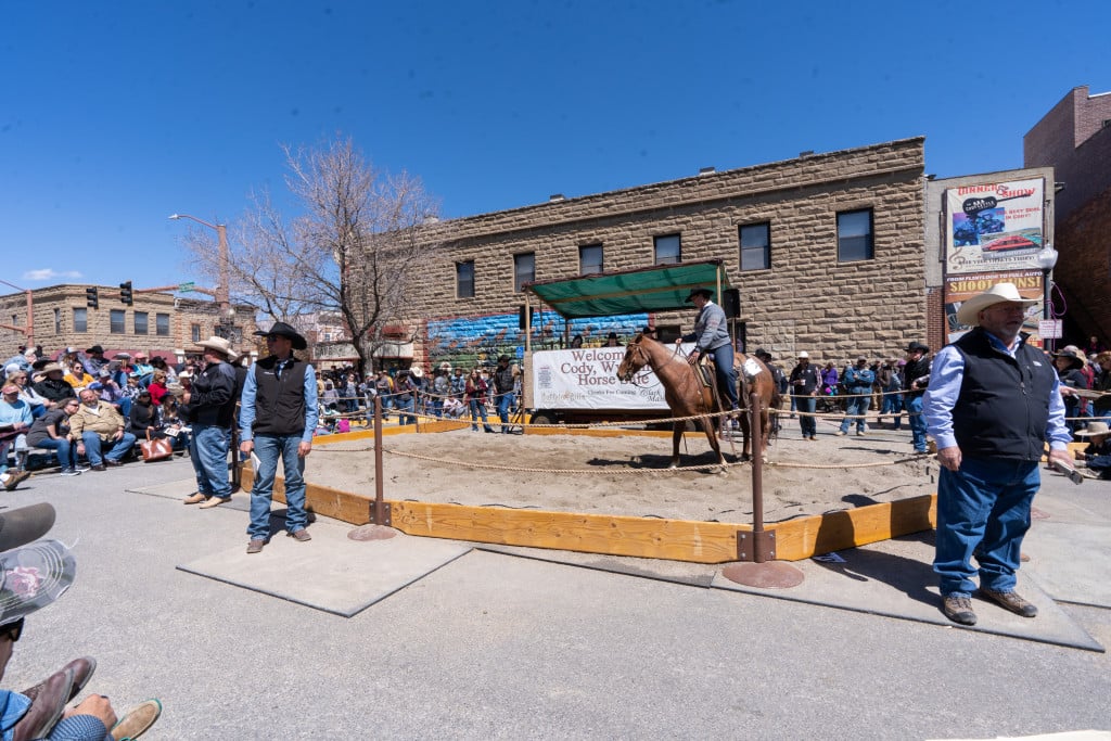 Cowboys and spectators looking at horses