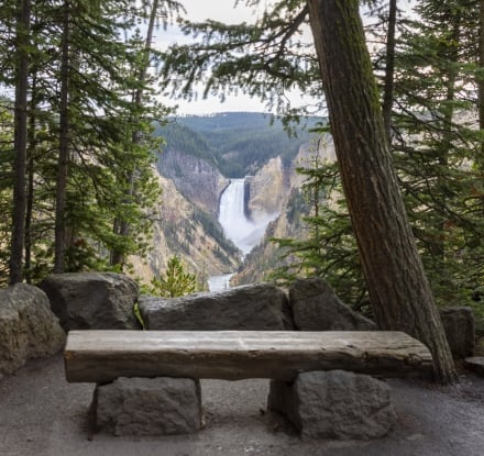 A spectacular and dramatic view of the falls in the Grand Canyon of the Yellowstone.