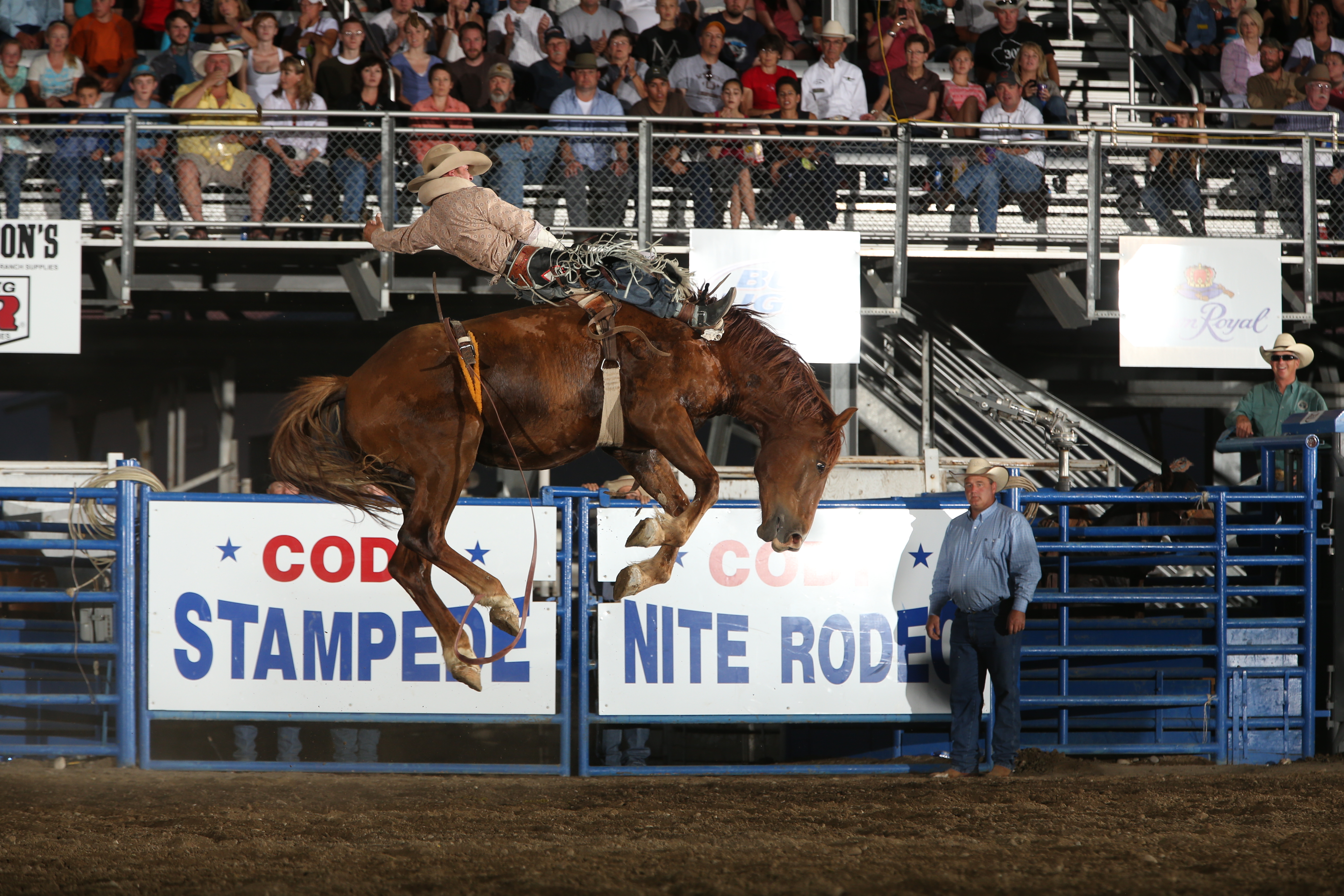 Rodeos Cody Yellowstone