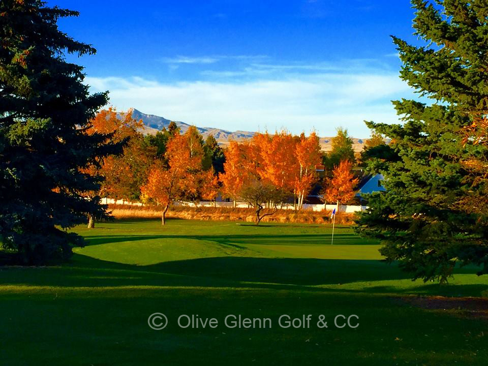 Olive Glenn Golf and Country Club Cody Yellowstone